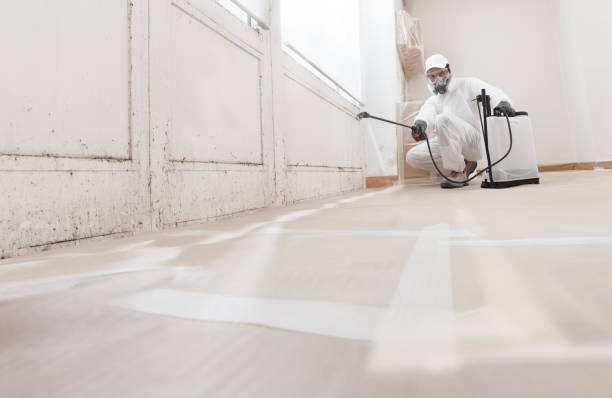 24/7 Emergency Mold Testing experts in Arlington, TX
