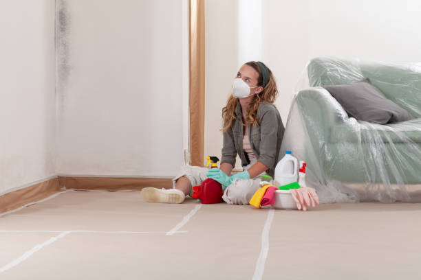 Reliable Mold Testing contractor in Arlington, TX by WQB Mold Removal